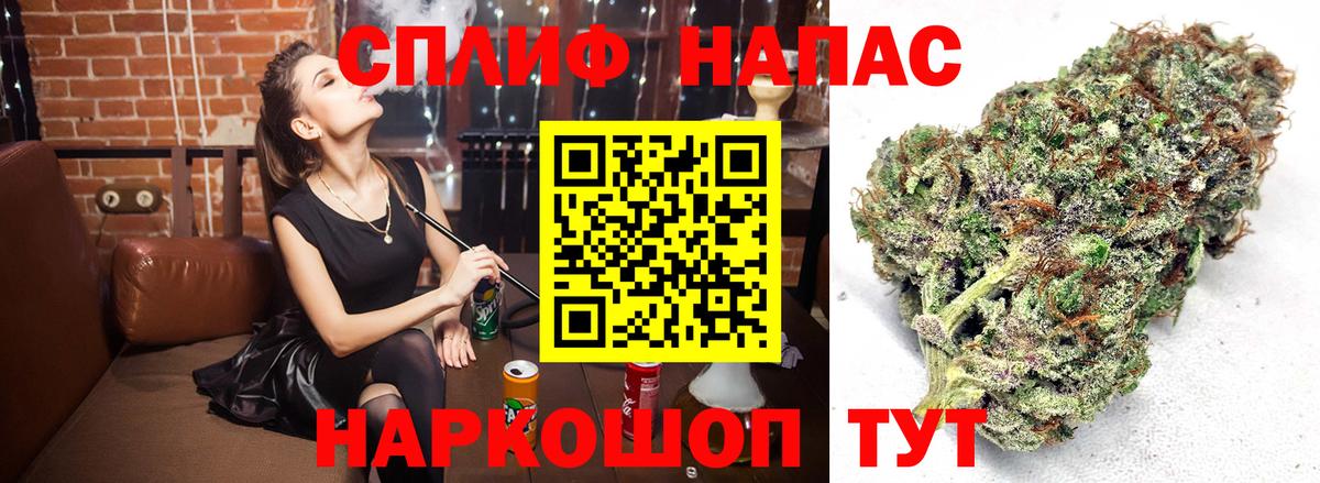 Канабис конопля Хасавюрт